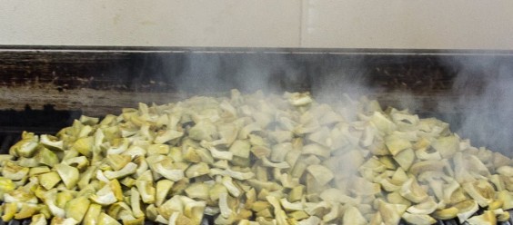 Grilled Artichoke Hearts